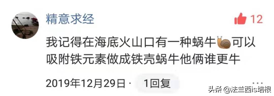 不吃饭的甲壳虫,深海蜗牛怎么吃