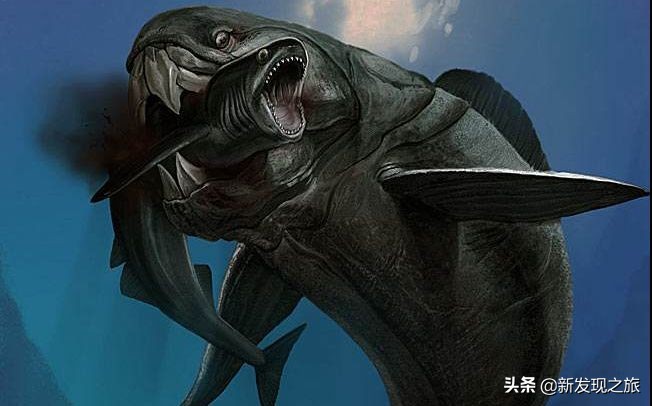 地球第六次生物大灭绝会怎么样,地球曾出现过几次物种大灭亡