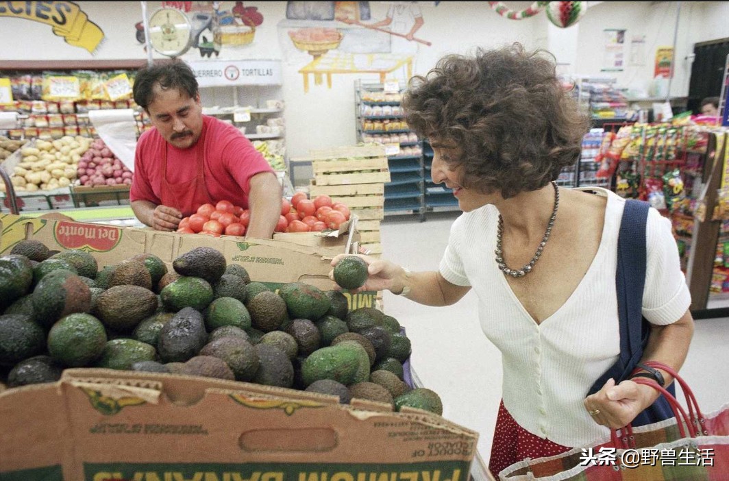 牛油果是真有营养还是虚假宣传,被捧上天却毫无作用的食物