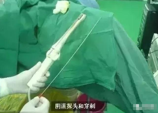 卖卵、代孕？姑娘醒醒，别再被这些谎话骗了