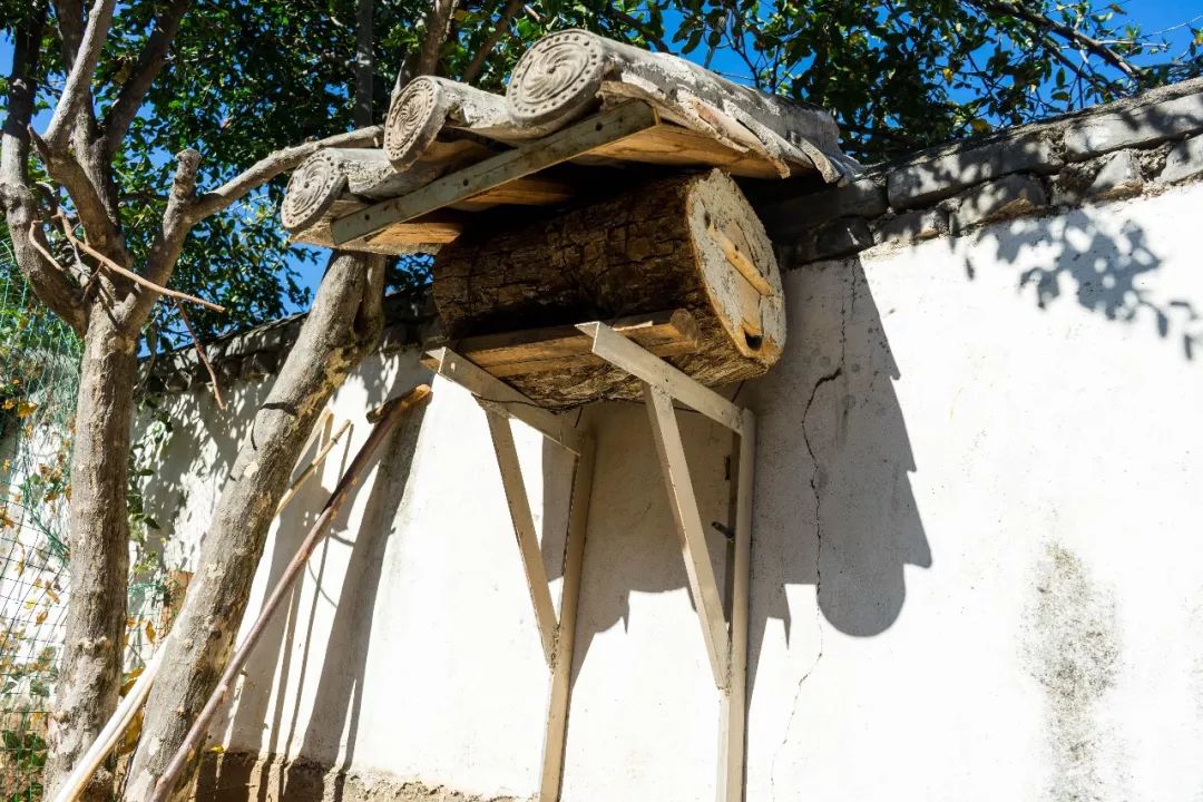 土蜂蜜的取蜜全过程,土蜂蜜取蜜全过程记录