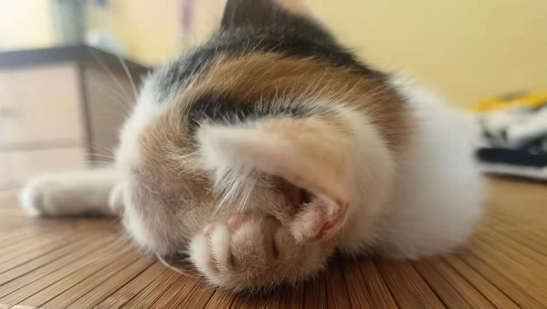 深圳公司怎么查企业登记档案,深圳市企业登记档案网上查询平台