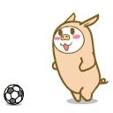 开远榜样|沙俊起：毕生教练情倾足球