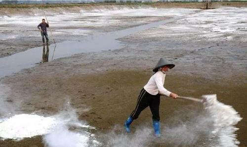 小龙虾常见疾病判断及防治方法,小龙虾塘纤毛虫处理办法