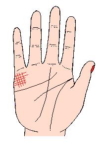 看手相可以预测什么,手相能预测考试吗