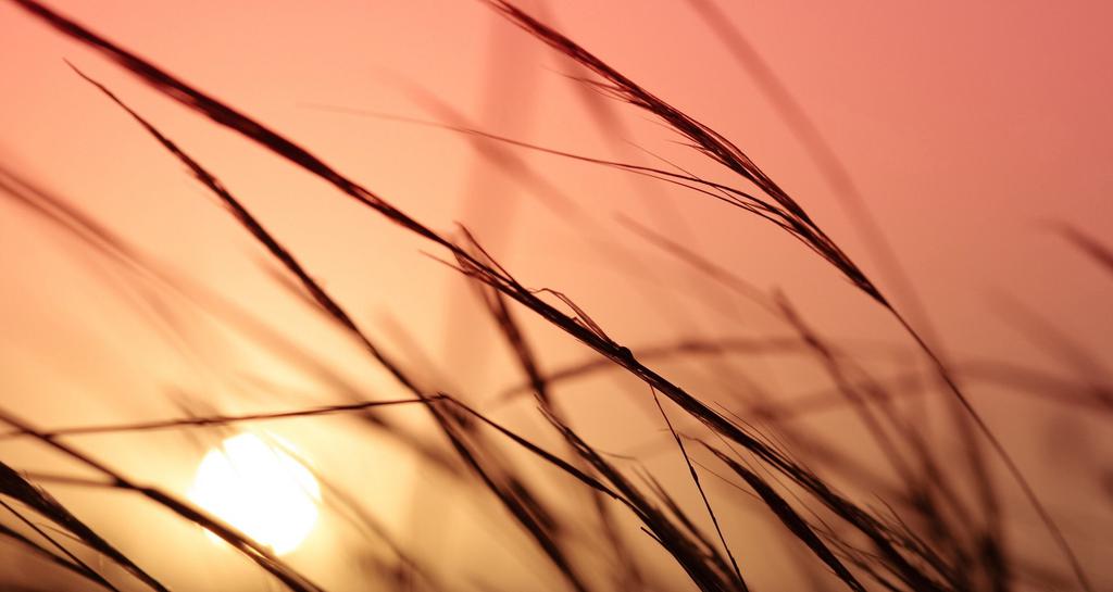 兰蔻小白管和娇韵诗防晒霜,兰蔻lancome小白管防晒霜50ml