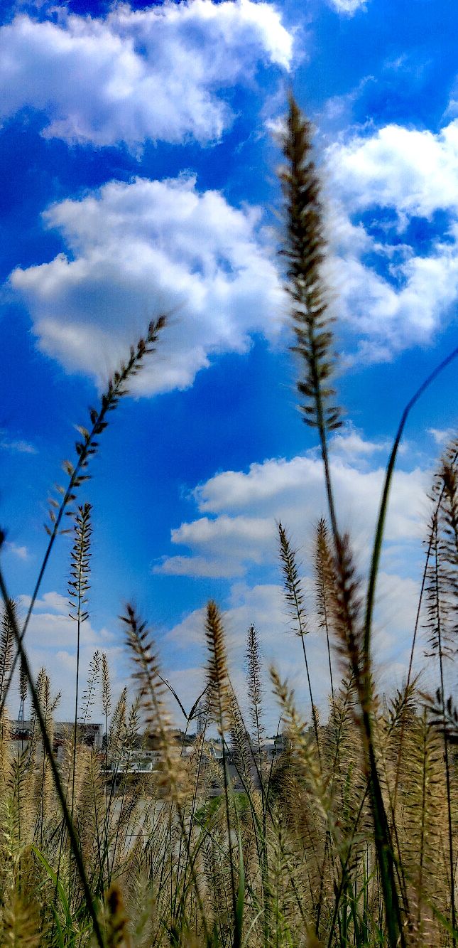 最美好的年纪活成了最糟糕的自己,在最好的年纪里过着最悲哀的生活