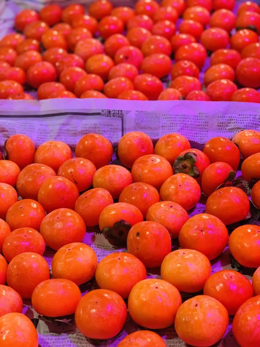 静远路便民服务中心在哪里,锦江区静远路便民服务中心