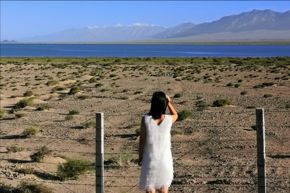 青甘大环线高反,旅游青甘大环线