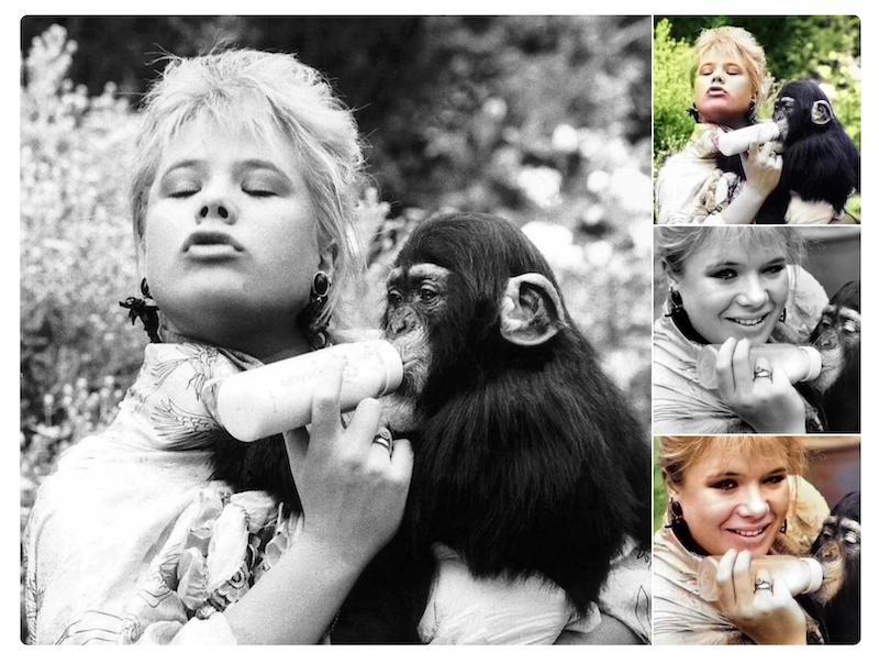 做图实用网站,好用作图网站排名