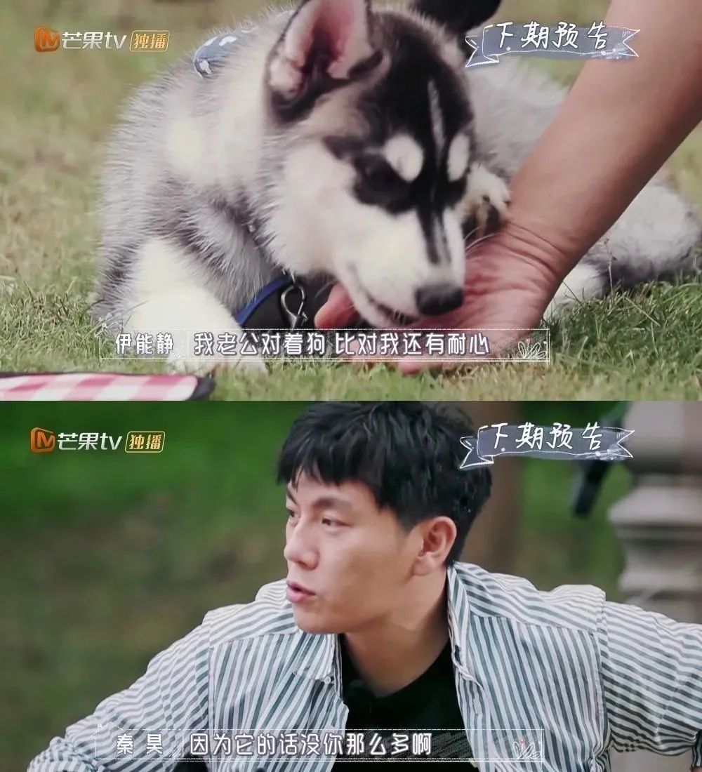 鏄庢槦涓烘姭鑽嗘柀妫樼殑鍝ュ摜鎵揷all,涓烘姭鑽嗘柀妫樼殑鍝ュ摜浠墦call