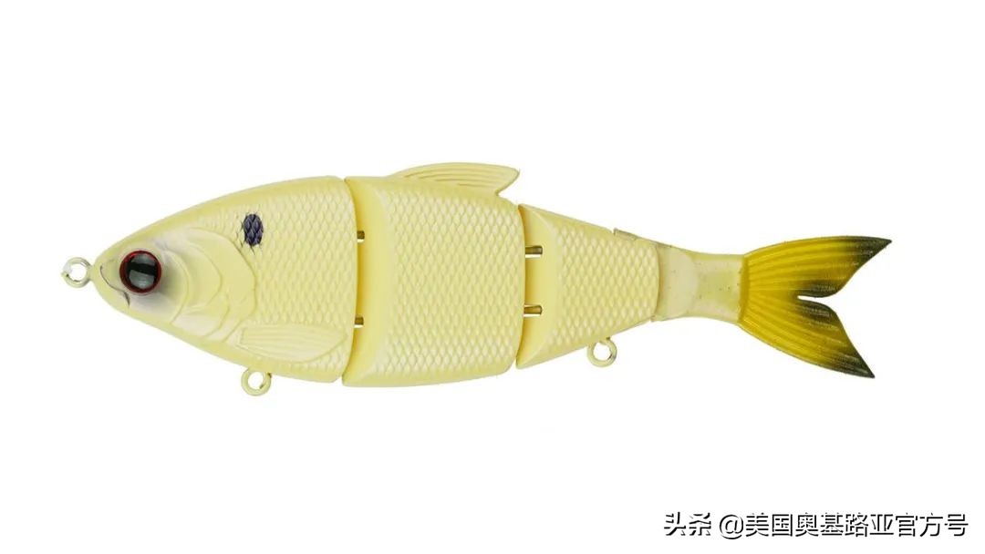 2021年春季渔具展会,2021昆明渔具展时间表