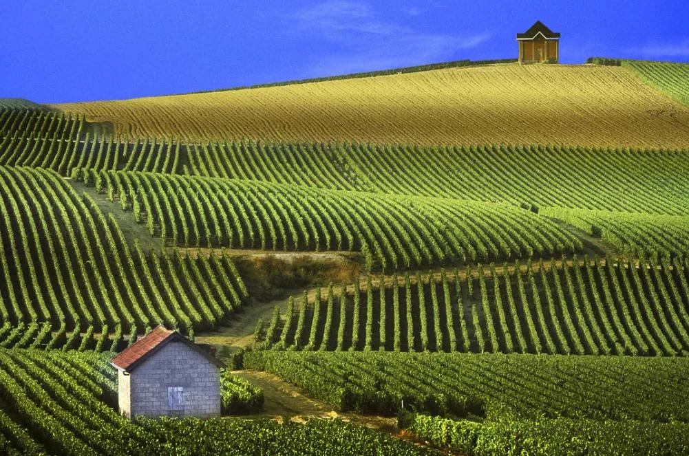 拉菲酒庄是哪个产区,拉菲是酒庄吗