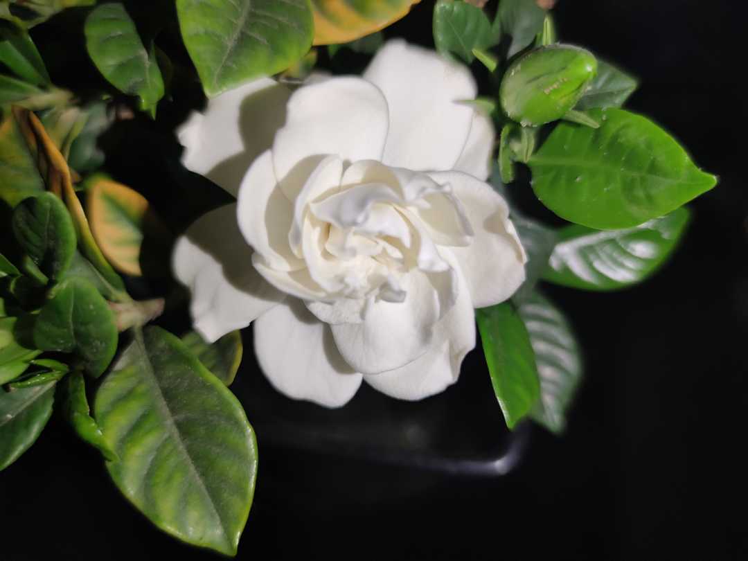 思维打开你的格局,思维打开心境好很多