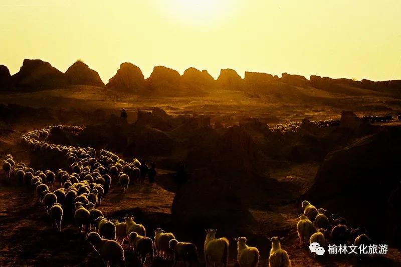 榆林长城纪事三十四,榆林长城纪事完整版