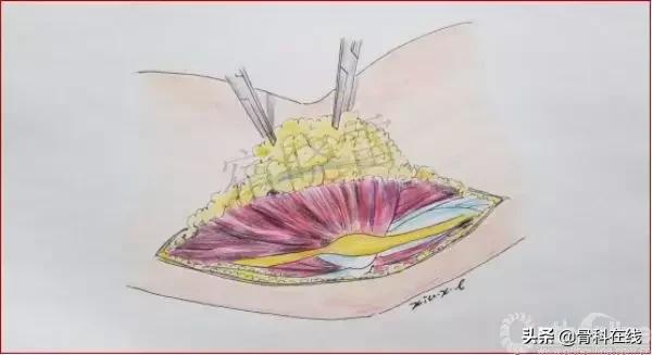 手绘科普类,手绘类科普