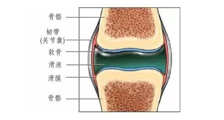 滑膜炎用什么药能治好,滑膜炎用什么中药能治好