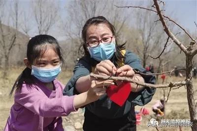 乡村振兴果树种植基地建设项目,种植经济林吹响乡村振兴冲锋号