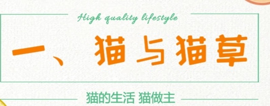 猫是肉食动物为什么它吃猫草,猫属于肉食动物一般不吃什么