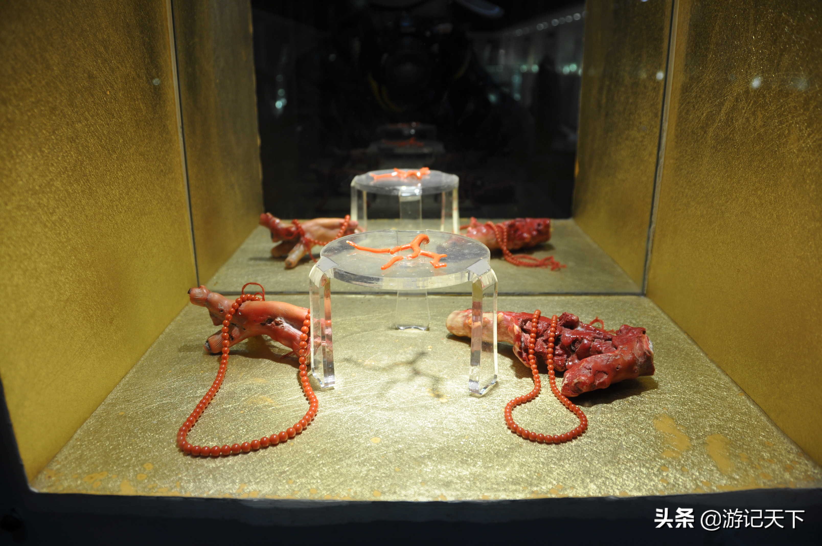 阿尼亚参观博物馆,上海地质科普馆游玩