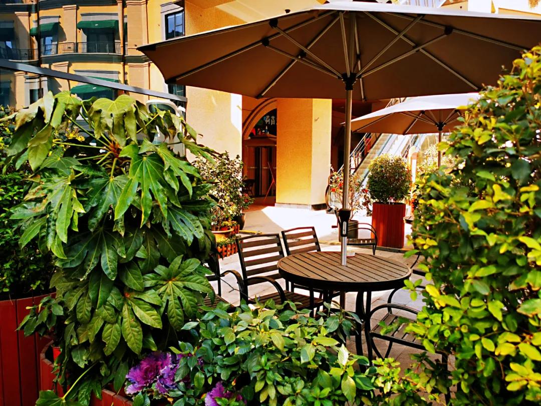 就地过年的新气象,原来就地过年也可以很欢乐