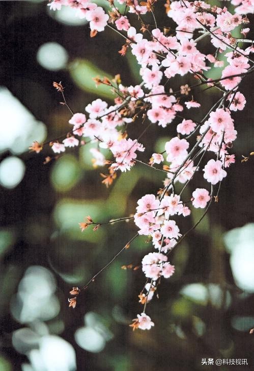 惠普178nw打印复印机扫描一体机,惠普彩色激光一体机178nw