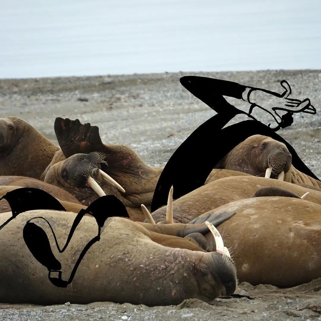 47岁大叔放弃高薪工作，一天画一幅成年人插画，看完让人心生欢喜