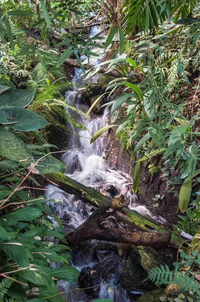 世界第八大奇迹：废矿变身伊甸园，年游客超两百万