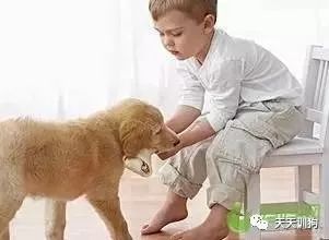 母狗没奶水不足怎么办,母狗奶水不足了怎么办