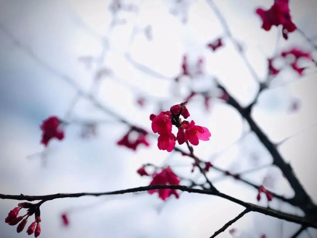 每周摄影作品展的第102期佳作欣赏,每周摄影作品展官网