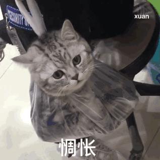 适合十五岁用的眼霜熬夜也可以用,经常熬夜有眼袋黑眼圈的眼霜