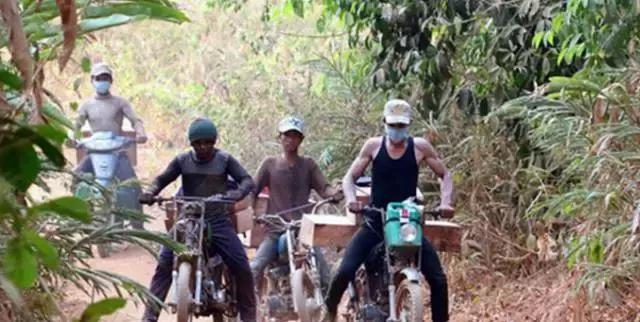 红木家具出口限制,红木木材稀缺的原因