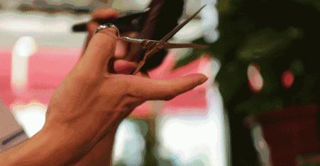 阆中古城真实体验,第一次来阆中古城