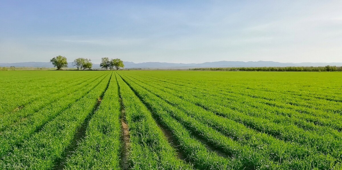 六安2021火爆加盟商机,六安医院商机