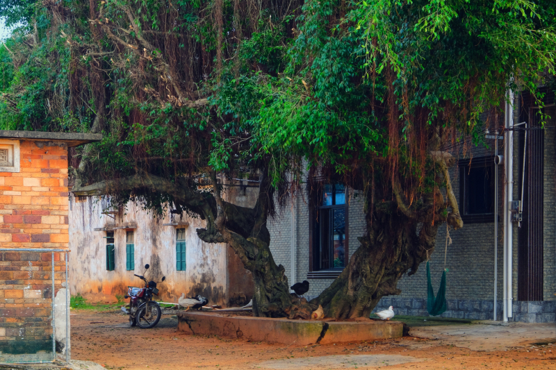 广东湛江旅游攻略赶海,湛江海边旅游攻略推荐地方