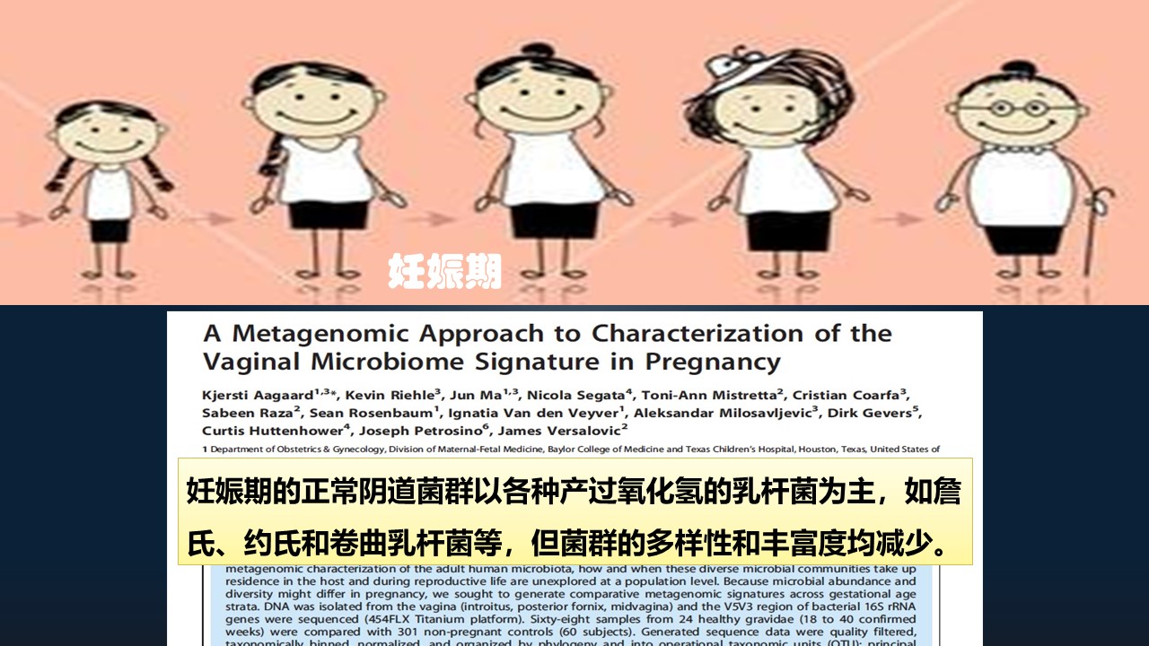 肖冰冰,肖冰冰的创作