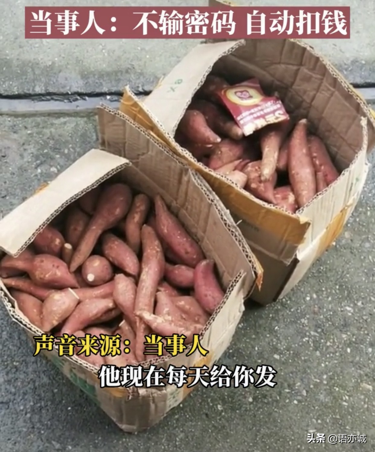 女子在网上买红薯，买一份却收到多份，钱被自动扣款是怎么回事？