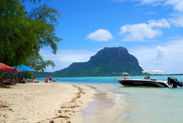 渔场牧场种田类小说,黄金渔场种田文全集