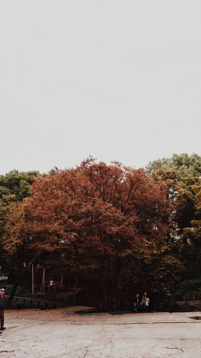 杭州西湖乌镇苏州南京上海攻略,天青色等烟雨乌镇旅游