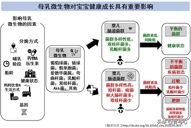 如何将母乳喂养的好处最大化