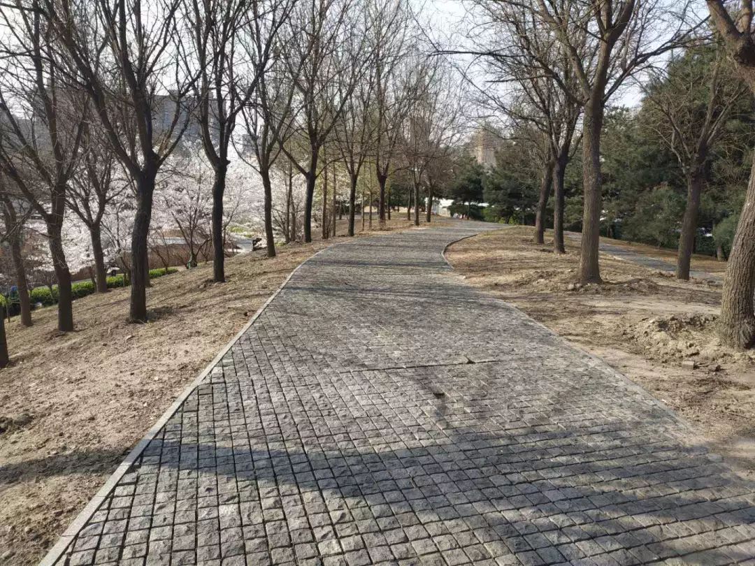 cbd白领生活,北京cbd白领下班回家