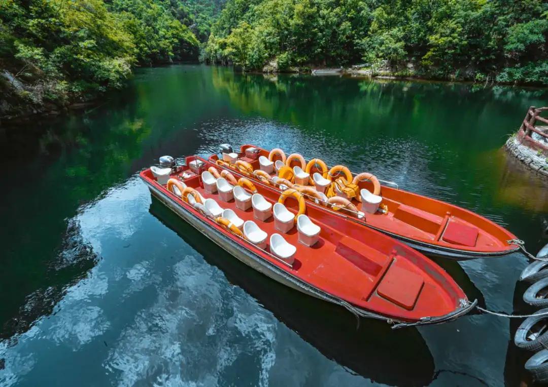 绿野仙踪旅游景区夜晚,画眉谷旅游景区