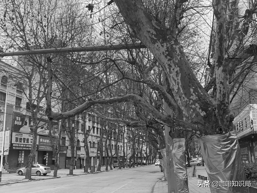 从摩卡港，到到雪咖啡，好喝的咖啡一个都不能少