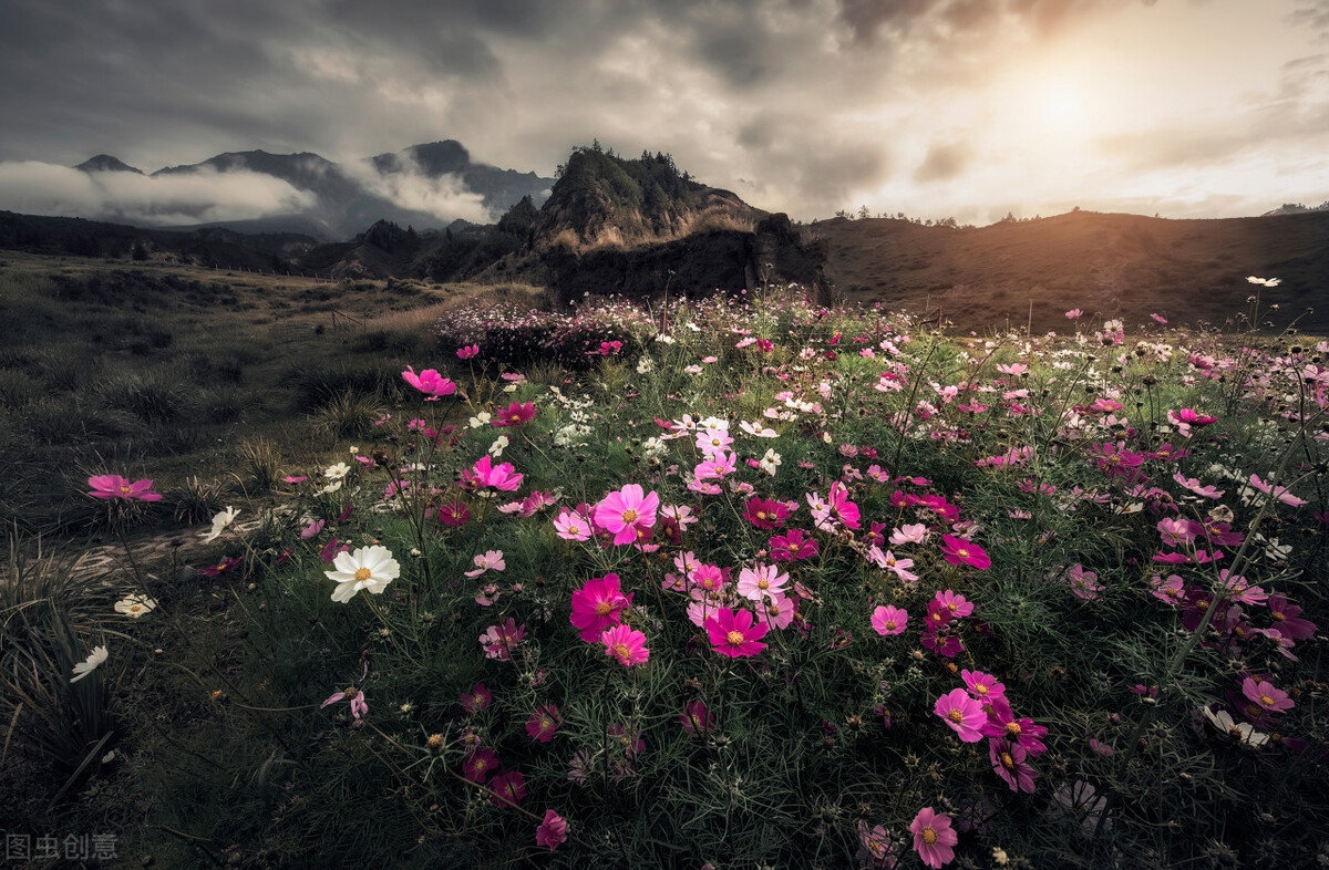 月经褐色怎么食补,经期量少黑褐色怎么调理