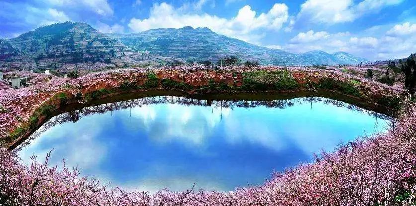 龙泉4大冷门赏桃线路出炉，向东60里遇见一座城市桃花源！