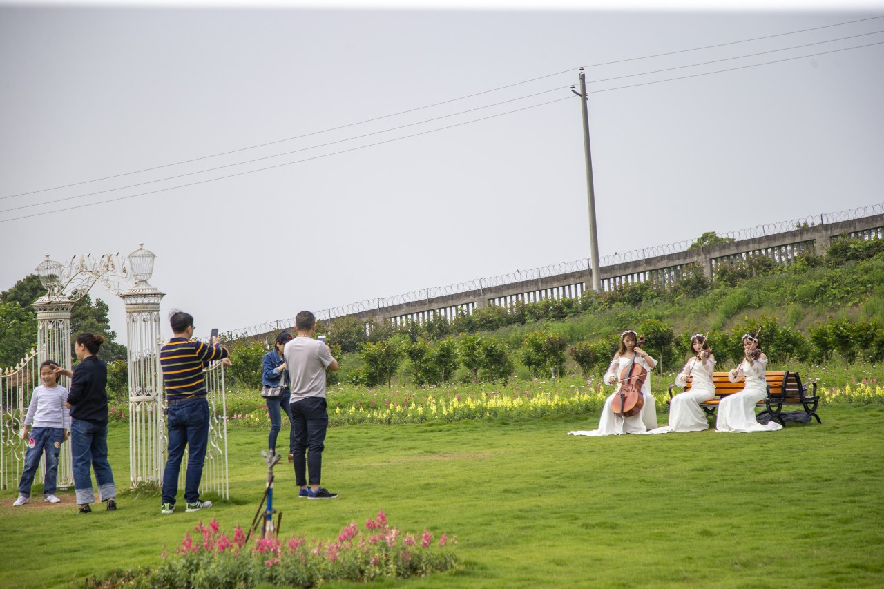 长沙洋沙湖,长沙洋湖附近游玩