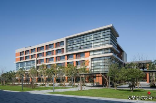 耀华中学开放日预约,上海临港开放时间