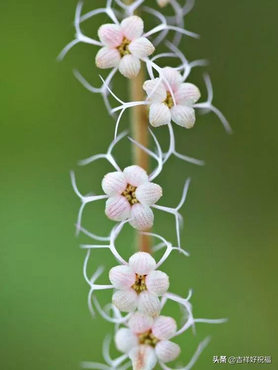 送给群友的美图,最新群相册大全