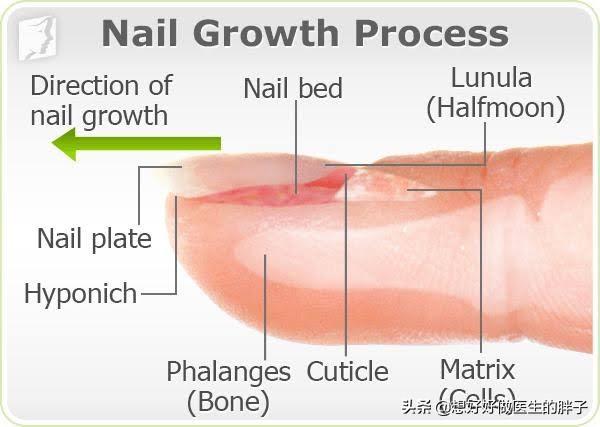 夏季女神美甲,夏季女神指甲