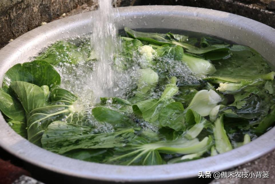 蔬菜怎样彻底清除农药残留,蔬菜有点农药残留怎么能洗掉